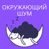 Окружающий шум